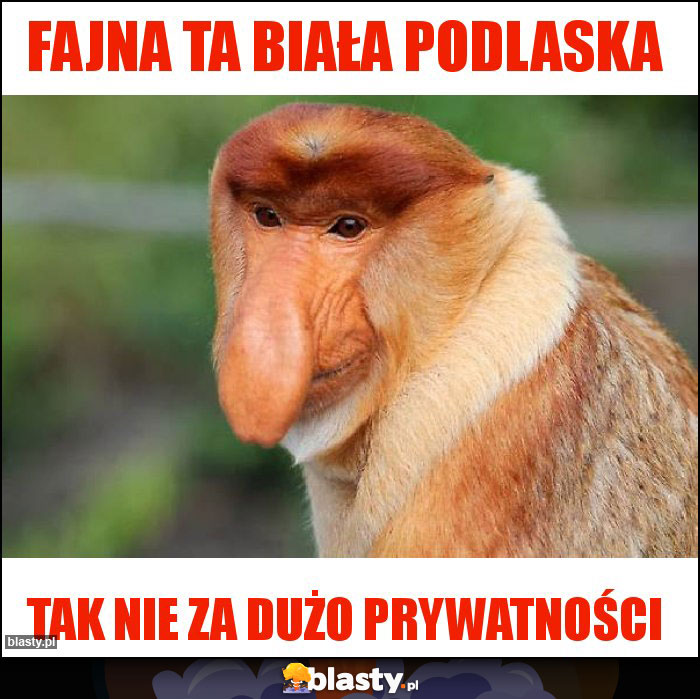 Fajna ta Biała Podlaska Fajna ta Biała Podlaska