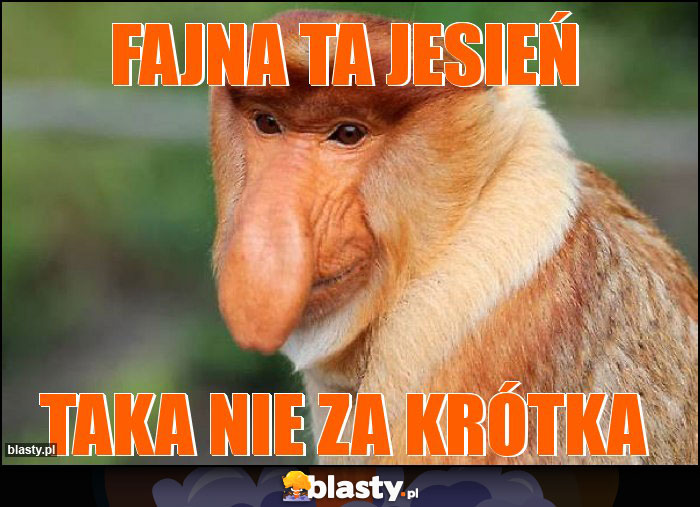 Fajna ta jesień Fajna ta jesień