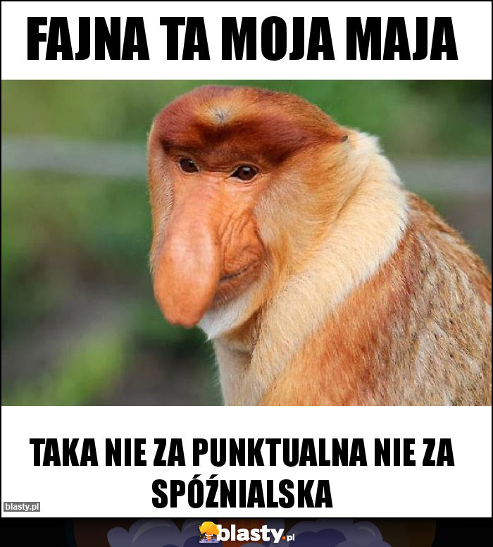 Fajna ta moja maja Fajna ta moja maja