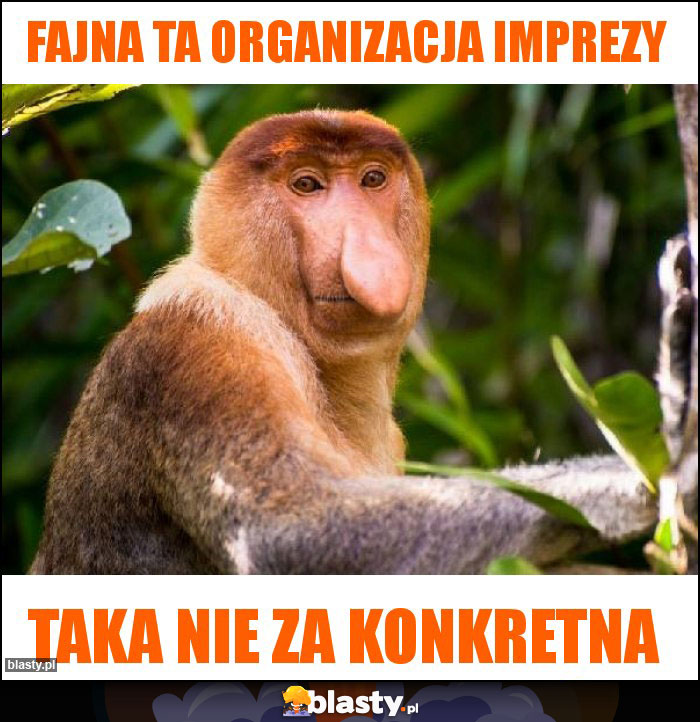 Fajna ta organizacja imprezy Fajna ta organizacja imprezy