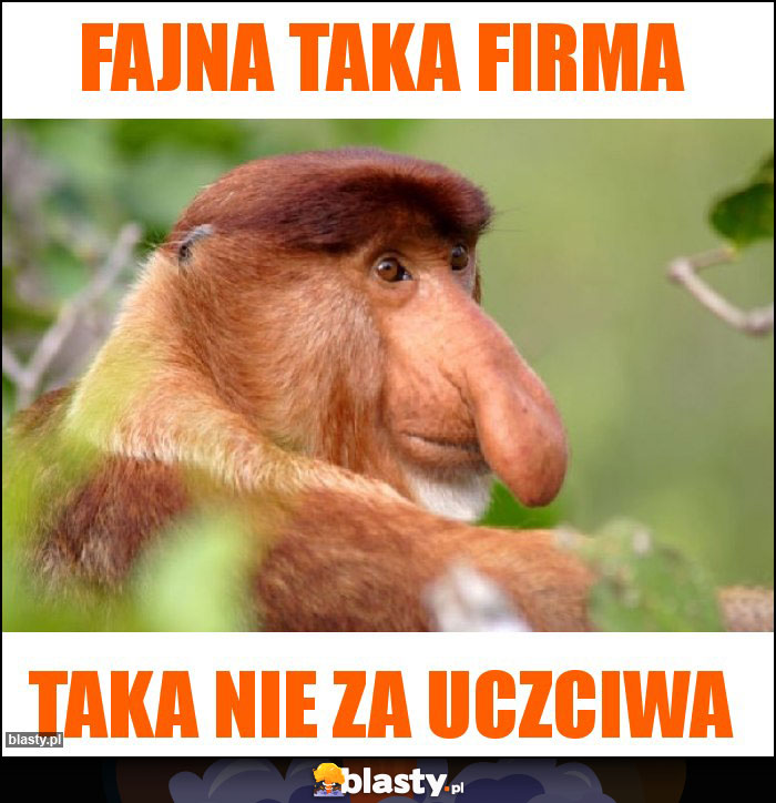 Fajna taka firma Fajna taka firma