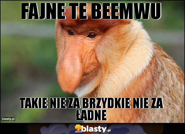 fajne te beemwu fajne te beemwu