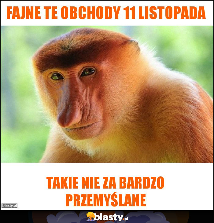 Fajne te obchody 11 listopada Fajne te obchody 11 listopada