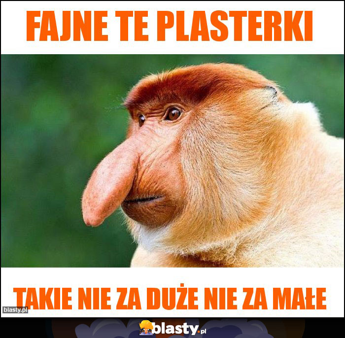 Fajne te plasterki Fajne te plasterki