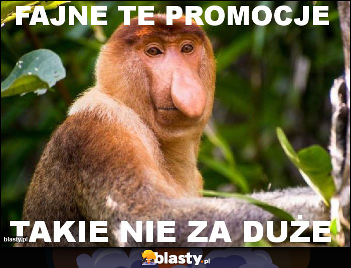 Fajne Te promocje Fajne Te promocje