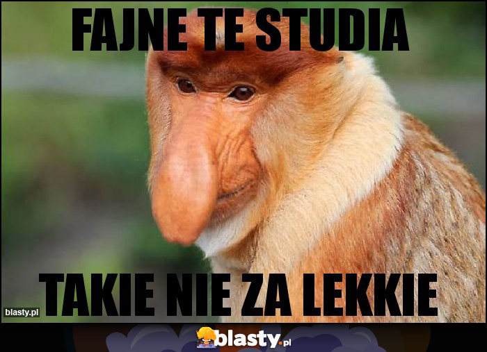 FAJNE TE STUDIA FAJNE TE STUDIA