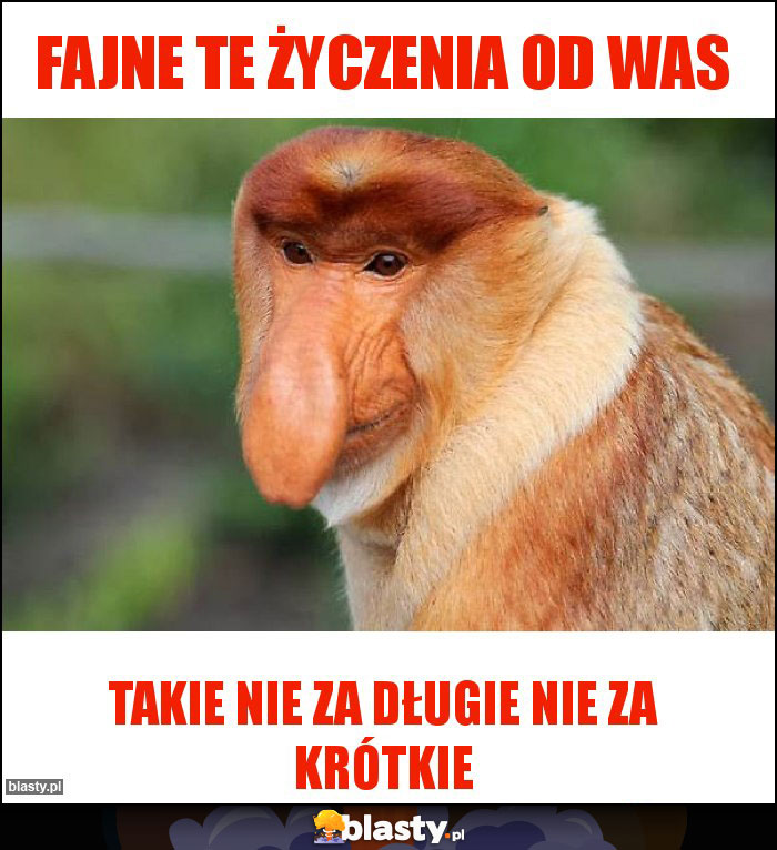 Fajne te życzenia od was Fajne te życzenia od was