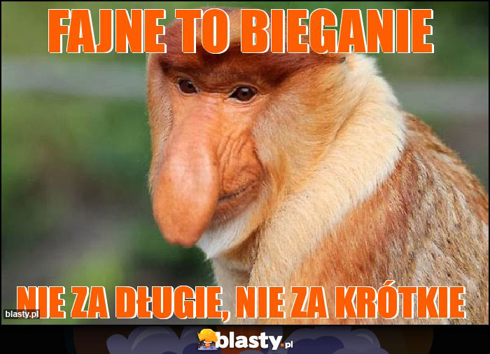 Fajne to bieganie Fajne to bieganie