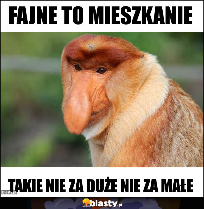 Fajne to mieszkanie Fajne to mieszkanie