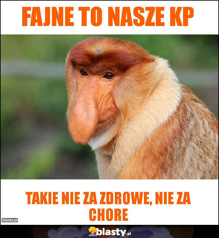 Fajne to nasze KP Fajne to nasze KP
