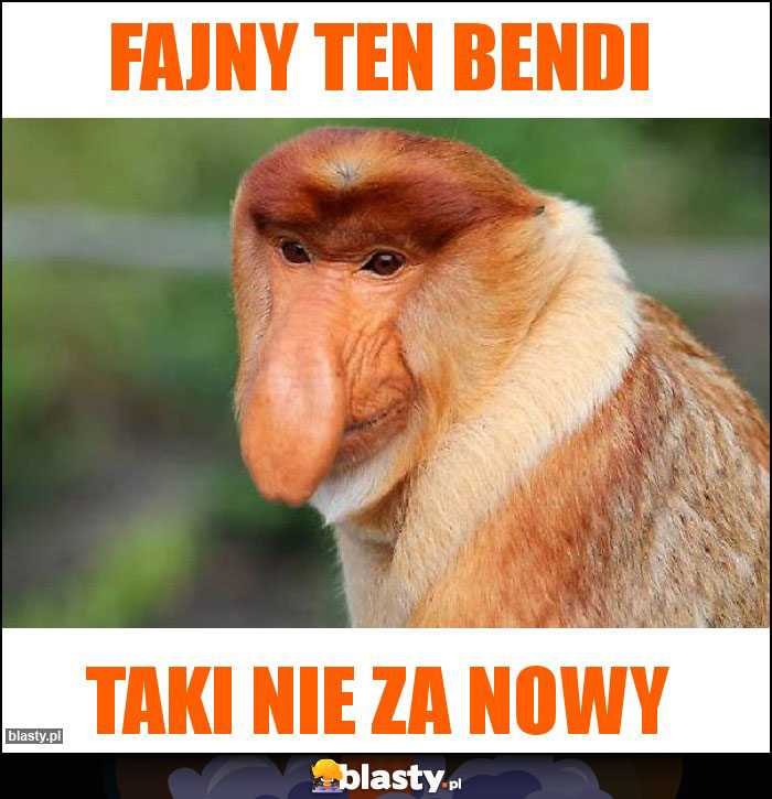 Fajny ten bendi Fajny ten bendi