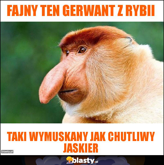 Fajny ten Gerwant z Rybii Fajny ten Gerwant z Rybii