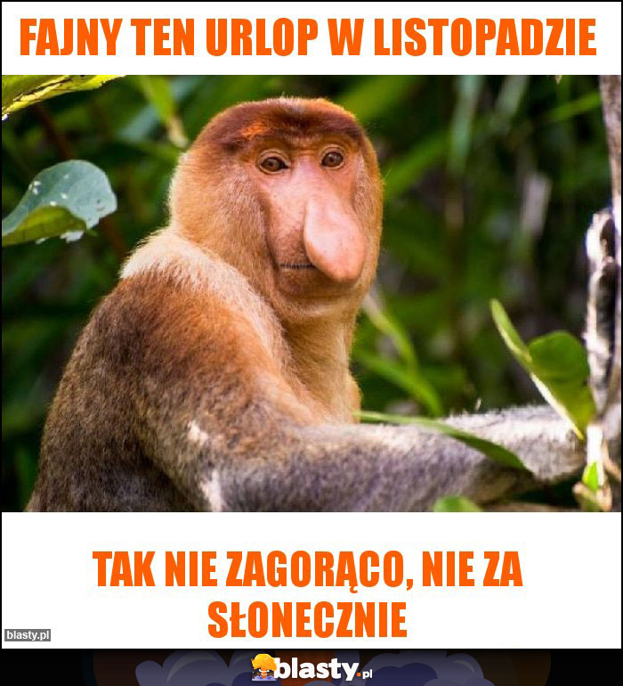 Fajny ten urlop w listopadzie Fajny ten urlop w listopadzie