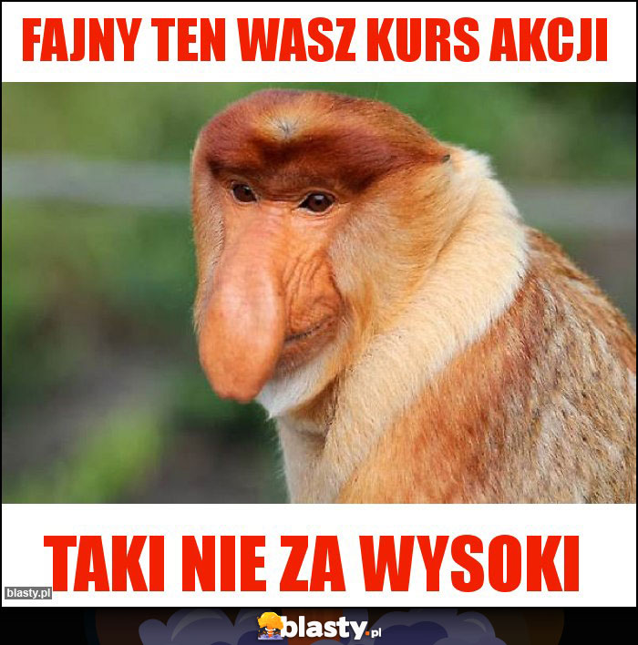 Fajny ten wasz kurs akcji Fajny ten wasz kurs akcji
