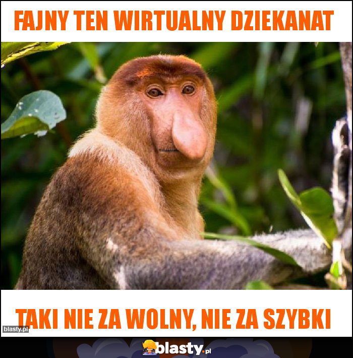Fajny ten wirtualny dziekanat Fajny ten wirtualny dziekanat