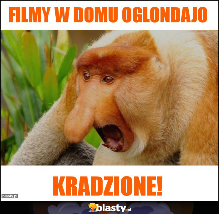 Filmy w domu oglondajo Filmy w domu oglondajo