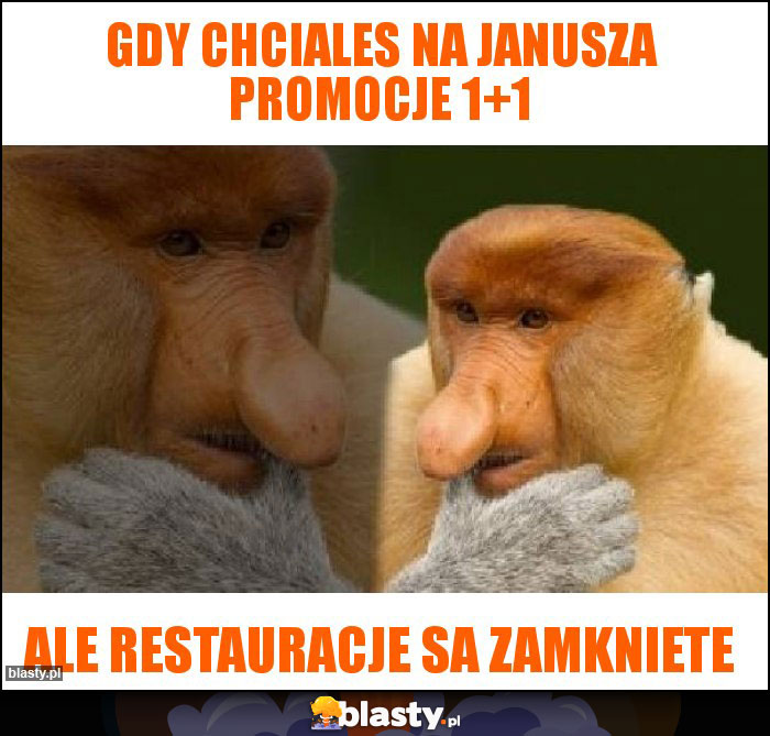 Gdy chciales na janusza promocje 1+1 Gdy chciales na janusza promocje 1+1