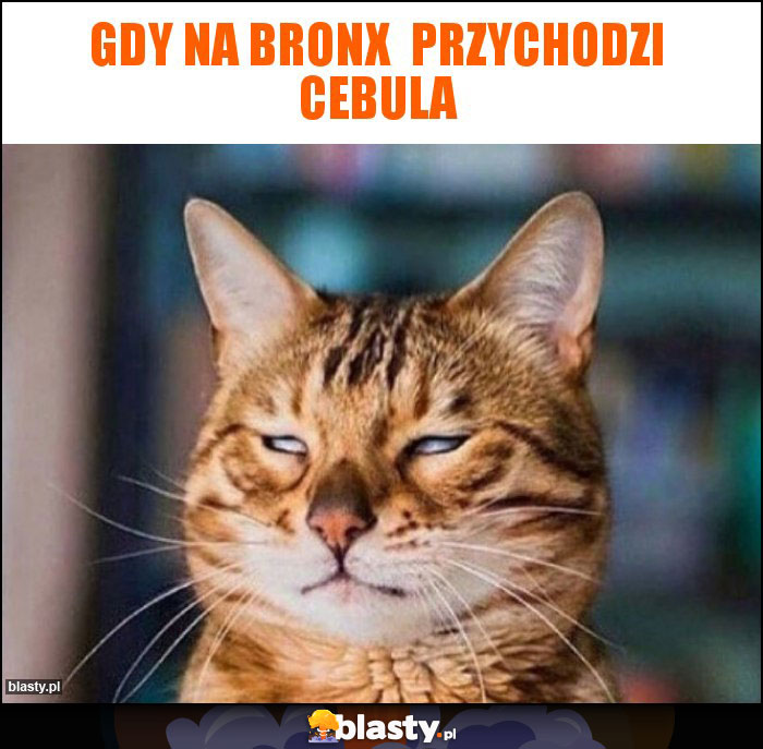 Gdy na Bronx przychodzi cebula Gdy na Bronx przychodzi cebula