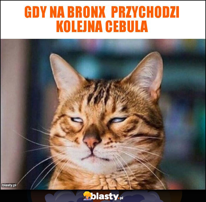 Gdy na Bronx przychodzi kolejna cebula Gdy na Bronx przychodzi kolejna cebula