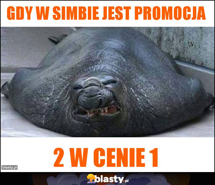 GDY W SIMBIE JEST PROMOCJA GDY W SIMBIE JEST PROMOCJA