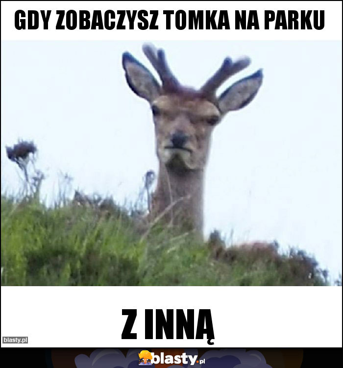 Gdy zobaczysz Tomka na parku Gdy zobaczysz Tomka na parku