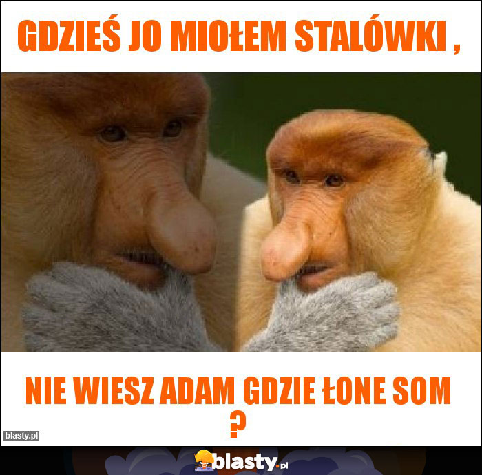 Gdzieś jo miołem stalówki , Gdzieś jo miołem stalówki ,