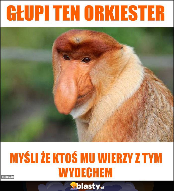 Głupi ten Orkiester Głupi ten Orkiester