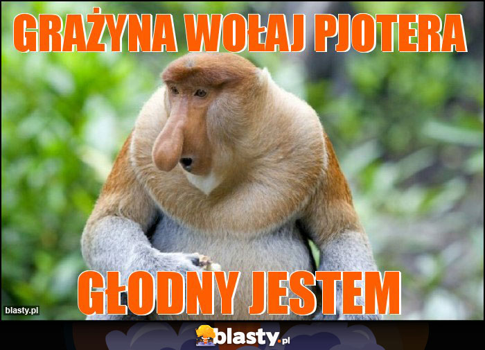 Grażyna wołaj pjotera Grażyna wołaj pjotera