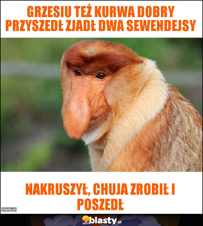 Grzesiu też kurwa dobry przyszedł zjadł dwa sewendejsy Grzesiu też kurwa dobry przyszedł zjadł dwa sewendejsy