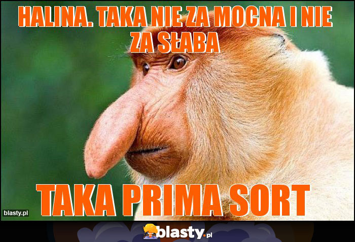 HALINA. TAKA NIE ZA MOCNA I NIE ZA SŁABA HALINA. TAKA NIE ZA MOCNA I NIE ZA SŁABA