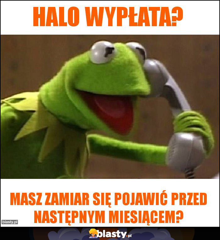 Halo wypłata? Halo wypłata?