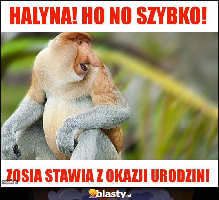 Halyna! Ho no szybko!