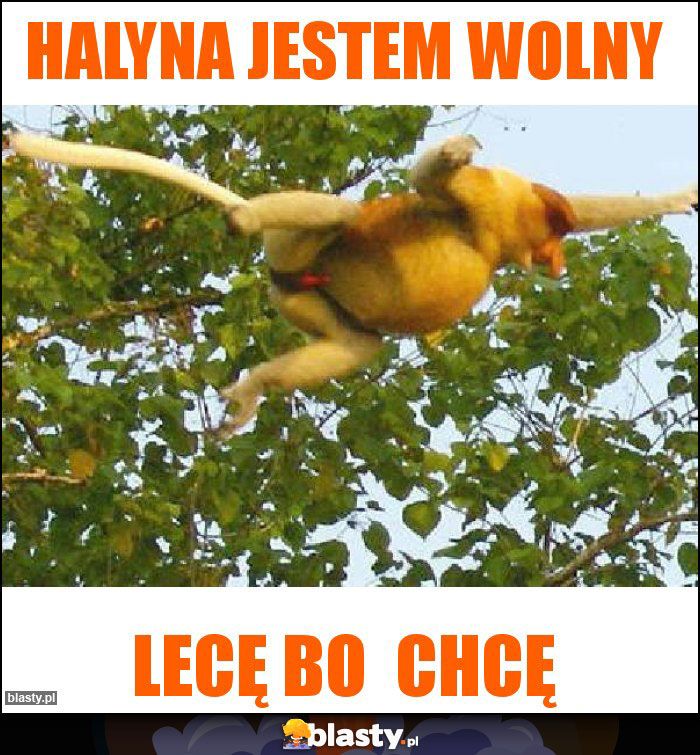 Halyna Jestem Wolny Halyna Jestem Wolny