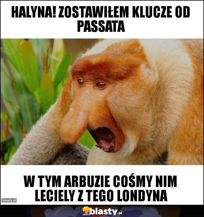 Halyna! Zostawiłem klucze od passata Halyna! Zostawiłem klucze od passata