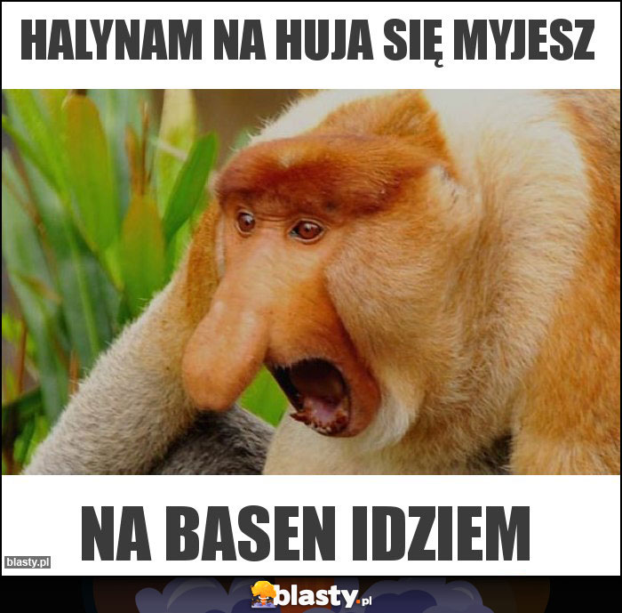 Halynam na huja się myjesz Halynam na huja się myjesz
