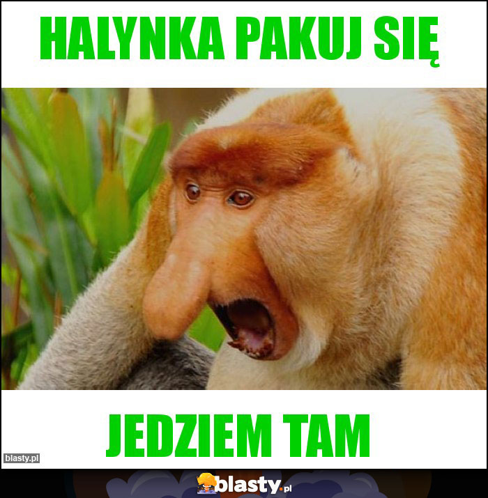 Halynka pakuj się Halynka pakuj się