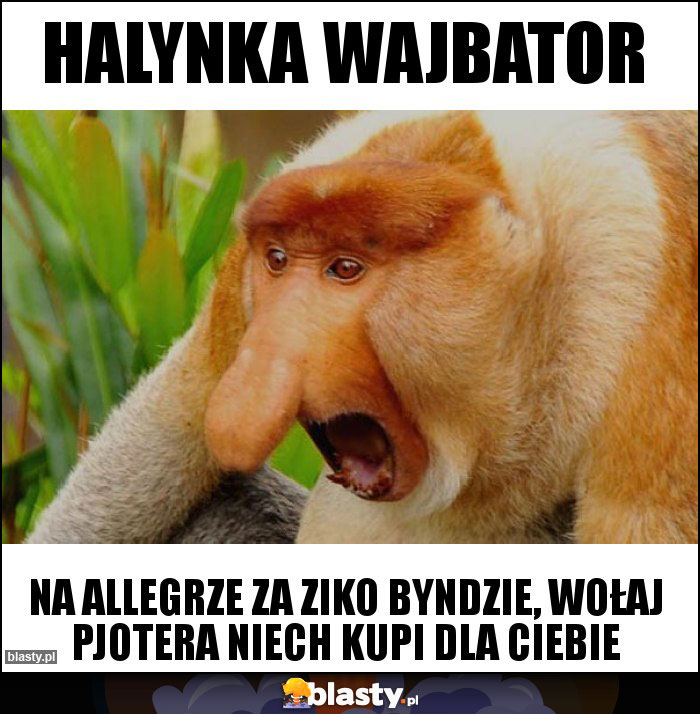 Halynka wajbator Halynka wajbator