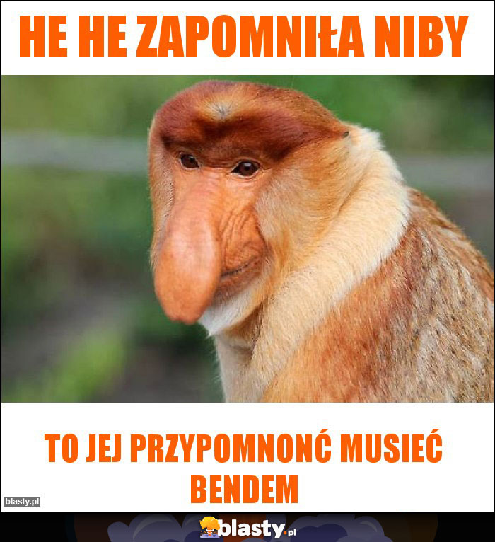 He he zapomniła niby He he zapomniła niby