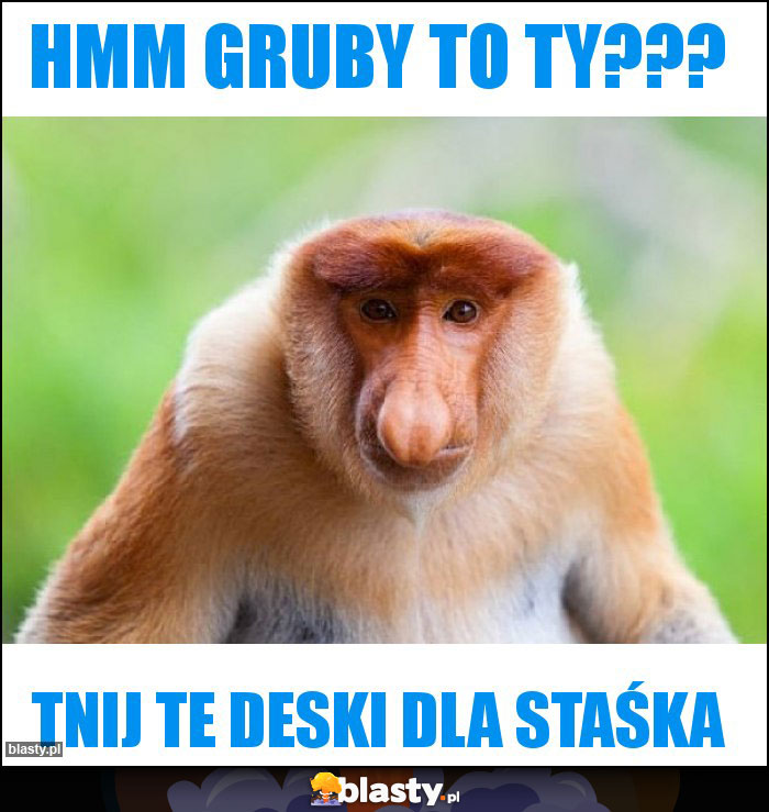 Hmm Gruby to ty??? Hmm Gruby to ty???