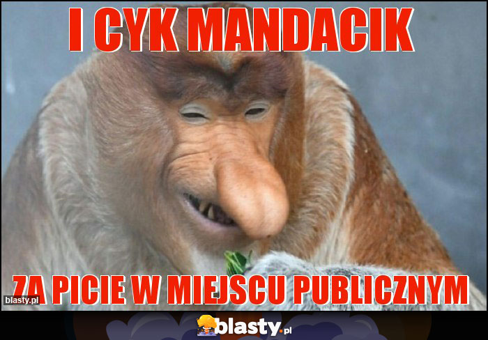 I cyk mandacik I cyk mandacik