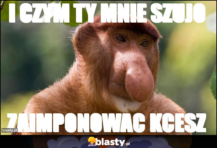I czym ty mnie szujo I czym ty mnie szujo