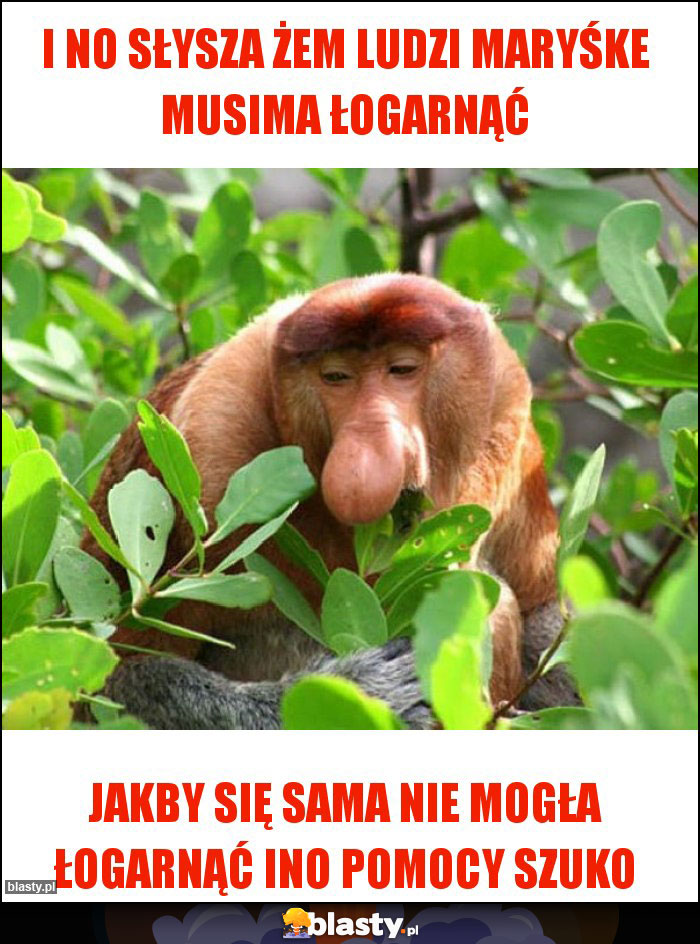 I no słysza żem ludzi maryśke musima łogarnąć I no słysza żem ludzi maryśke musima łogarnąć
