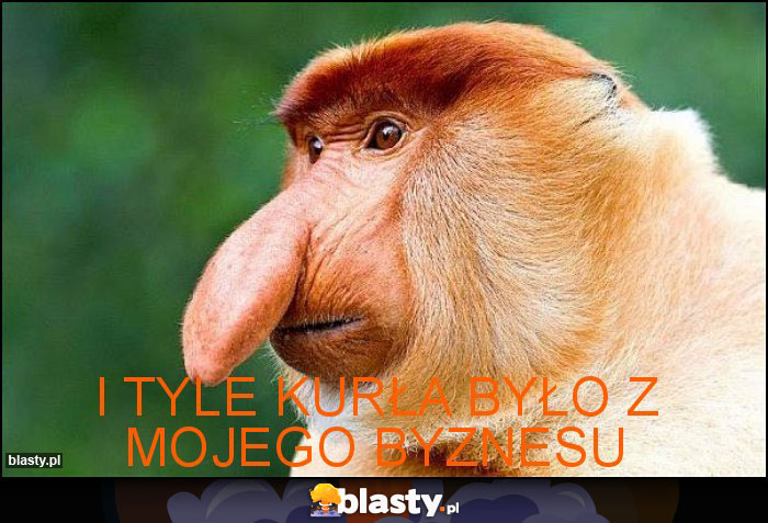 I tyle kurła było z mojego byznesu I tyle kurła było z mojego byznesu