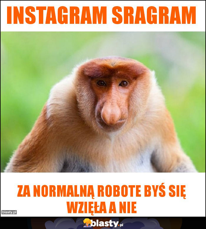 Instagram sragram