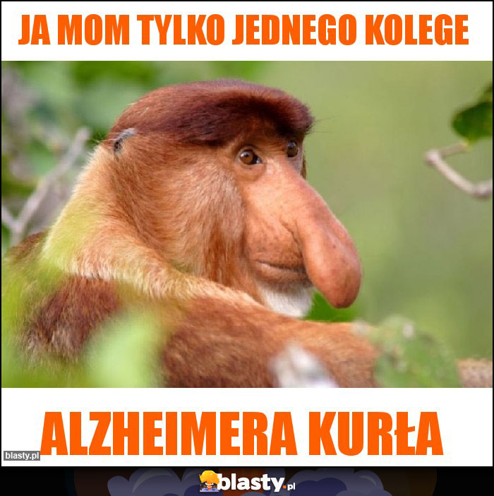 Ja mom tylko jednego kolege Ja mom tylko jednego kolege
