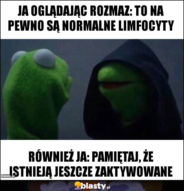 JA oglądając rozmaz: to na pewno są normalne limfocyty