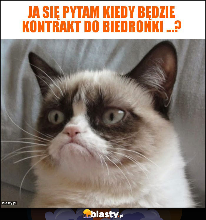 Ja się pytam kiedy będzie kontrakt do Biedronki ...? Ja się pytam kiedy będzie kontrakt do Biedronki ...?