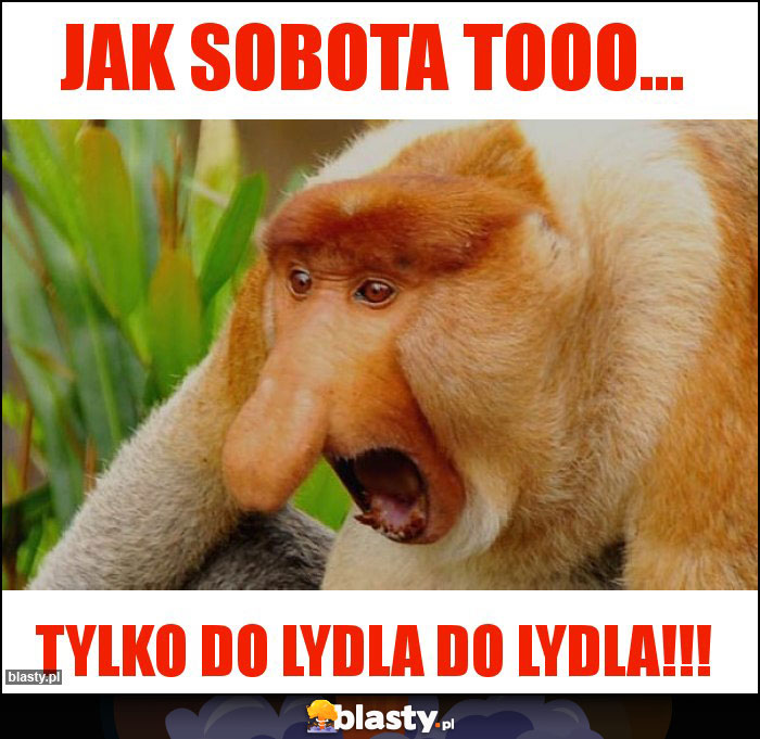 Jak sobota tooo... Jak sobota tooo...