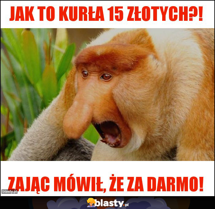 Jak to kurła 15 złotych?! Jak to kurła 15 złotych?!