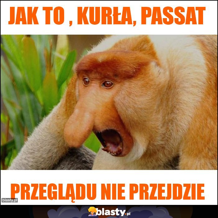 Jak to , kurła, Passat Jak to , kurła, Passat